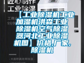 企業(yè)新聞【工業(yè)除濕機(jī)工業(yè)加濕機(jī)洪森工業(yè)除濕機(jī)空氣除濕器河北工業(yè)除濕機(jī)圖】?jī)r(jià)格,廠家,除濕機(jī)