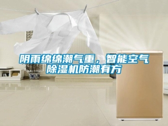 知識百科陰雨綿綿潮氣重，智能空氣除濕機防潮有方
