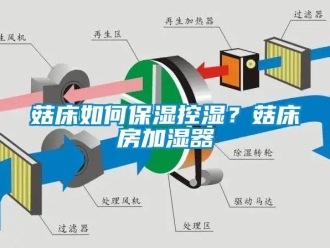 常見問題菇床如何保濕控濕？菇床房加濕器