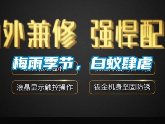 行業(yè)新聞梅雨季節(jié)，白蟻肆虐