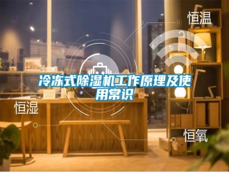 行業(yè)新聞冷凍式除濕機(jī)工作原理及使用常識(shí)