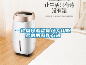 行業(yè)新聞一種風(fēng)冷調(diào)溫冰場(chǎng)專用除濕機(jī)的制作方法