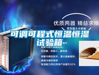 知識百科可調(diào)可程式恒溫恒濕試驗箱