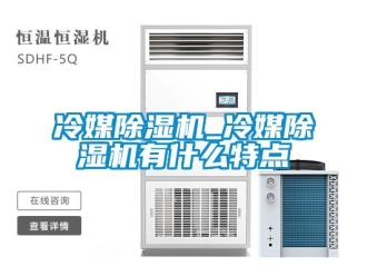 行業(yè)新聞冷媒除濕機_冷媒除濕機有什么特點