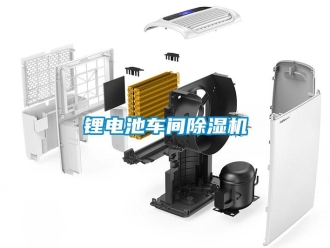 行業(yè)新聞鋰電池車間除濕機(jī)
