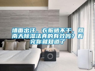 常見問題墻面出汗，衣服曬不干，回南天除濕法真的有效嗎？看完你就知道了