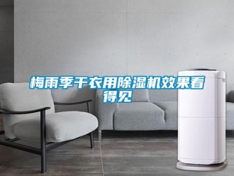 行業(yè)新聞梅雨季干衣用除濕機效果看得見