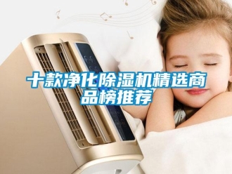 行業(yè)新聞十款凈化除濕機精選商品榜推薦