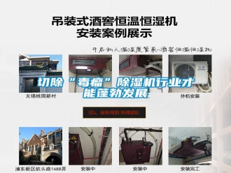 行業(yè)新聞切除“毒瘤”除濕機行業(yè)才能蓬勃發(fā)展