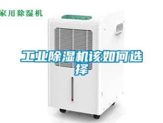 常見問(wèn)題工業(yè)除濕機(jī)該如何選擇