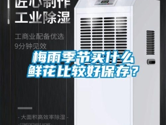 行業(yè)新聞梅雨季節(jié)買什么鮮花比較好保存？