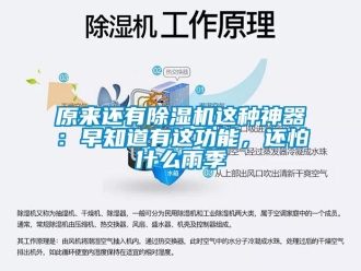 行業(yè)新聞原來還有除濕機(jī)這種神器：早知道有這功能，還怕什么雨季