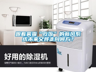 企業(yè)新聞跟著霧霾“吃飯”的新風系統(tǒng)未來又將走向何方？
