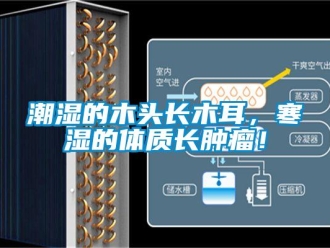 企業(yè)新聞潮濕的木頭長木耳，寒濕的體質(zhì)長腫瘤！
