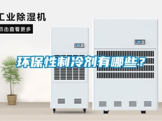 行業(yè)新聞環(huán)保性制冷劑有哪些？