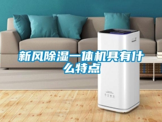 知識百科新風(fēng)除濕一體機(jī)具有什么特點(diǎn)