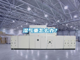 常見問題濕氣重怎么辦？