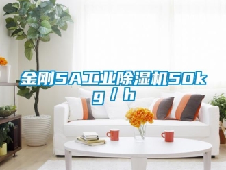 行業(yè)新聞金剛5A工業(yè)除濕機50kg／h