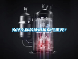 知識(shí)百科為什么你的除濕機(jī)臭氣熏天？