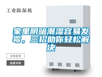 行業(yè)新聞家里陰暗潮濕容易發(fā)霉，三招助你輕松解決