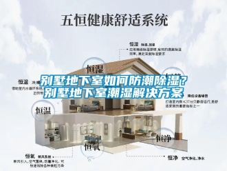 企業(yè)新聞別墅地下室如何防潮除濕？別墅地下室潮濕解決方案