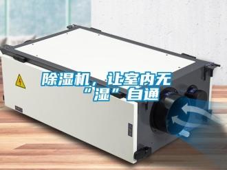 常見問題除濕機(jī)，讓室內(nèi)無“濕”自通