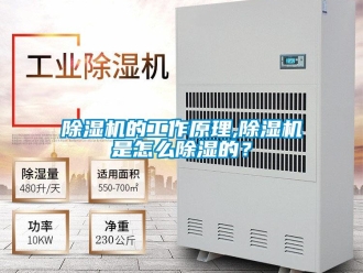 常見問題除濕機(jī)的工作原理,除濕機(jī)是怎么除濕的？