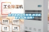 除濕機(jī)的工作原理,除濕機(jī)是怎么除濕的？