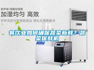 常見(jiàn)問(wèn)題餐飲業(yè)如何確保蔬菜新鮮？蔬菜保鮮機(jī)