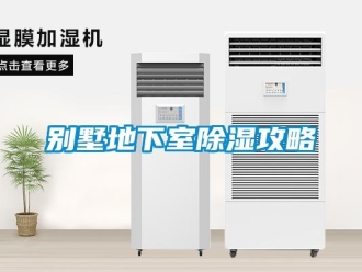 企業(yè)新聞別墅地下室除濕攻略