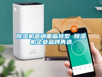 企業(yè)新聞除濕機(jī)營銷面臨轉(zhuǎn)型 除濕機(jī)企業(yè)品牌再造
