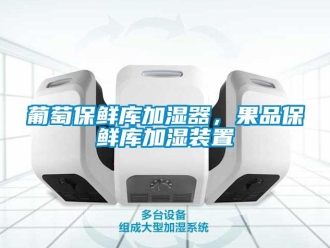 行業(yè)新聞葡萄保鮮庫加濕器，果品保鮮庫加濕裝置