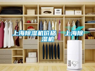 企業(yè)新聞上海除濕機(jī)價(jià)格  上海除濕機(jī)