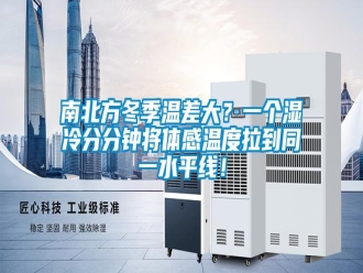 行業(yè)新聞南北方冬季溫差大？一個濕冷分分鐘將體感溫度拉到同一水平線！