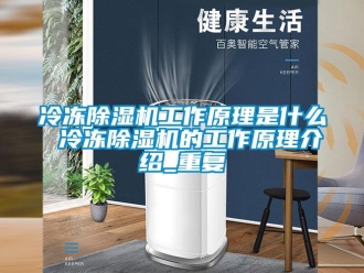 行業(yè)新聞冷凍除濕機(jī)工作原理是什么 冷凍除濕機(jī)的工作原理介紹_重復(fù)