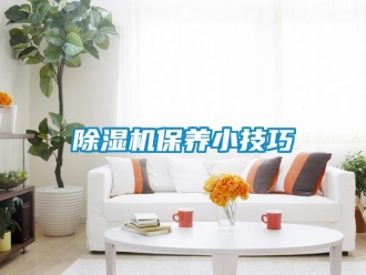 常見問題除濕機保養(yǎng)小技巧