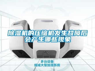 常見問題除濕機(jī)的壓縮機(jī)發(fā)生故障后會(huì)產(chǎn)生哪些現(xiàn)象