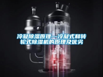 常見(jiàn)問(wèn)題冷凝除濕原理—冷凝式和轉(zhuǎn)輪式除濕機(jī)的原理及優(yōu)劣