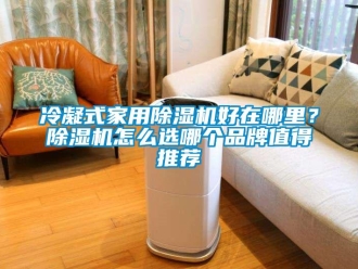 企業(yè)新聞冷凝式家用除濕機(jī)好在哪里？除濕機(jī)怎么選哪個品牌值得推薦