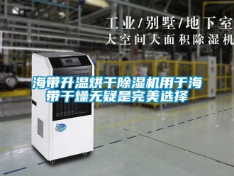 行業(yè)新聞海帶升溫烘干除濕機(jī)用于海帶干燥無(wú)疑是完美選擇