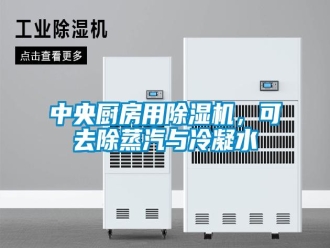 知識百科中央廚房用除濕機(jī)，可去除蒸汽與冷凝水