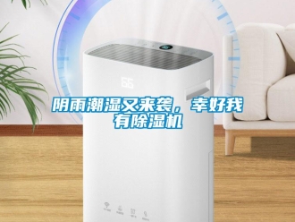 知識百科陰雨潮濕又來襲，幸好我有除濕機