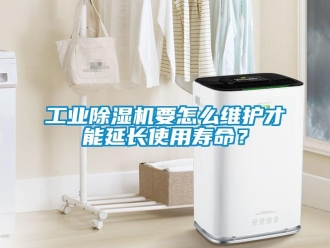 常見問(wèn)題工業(yè)除濕機(jī)要怎么維護(hù)才能延長(zhǎng)使用壽命？