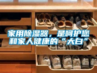 行業(yè)新聞家用除濕器，是呵護(hù)您和家人健康的“大白”
