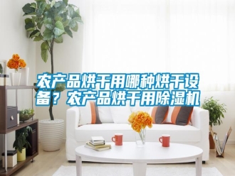 行業(yè)新聞農產品烘干用哪種烘干設備？農產品烘干用除濕機