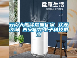 行業(yè)新聞云南大棚除濕器廠家 歡迎咨詢 西安同凱電子科技供應(yīng)