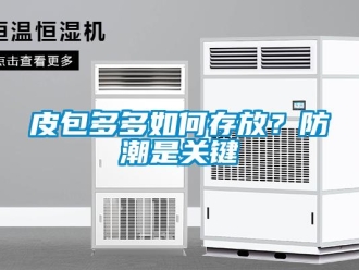 常見問題皮包多多如何存放？防潮是關(guān)鍵