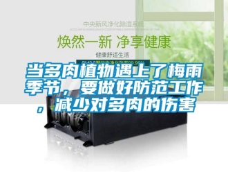 企業(yè)新聞當多肉植物遇上了梅雨季節(jié)，要做好防范工作，減少對多肉的傷害