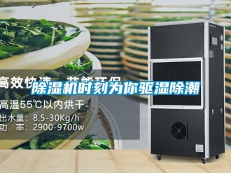 企業(yè)新聞除濕機時刻為你驅(qū)濕除潮