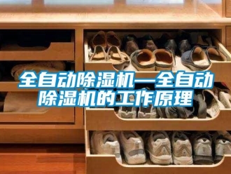行業(yè)新聞全自動(dòng)除濕機(jī)—全自動(dòng)除濕機(jī)的工作原理